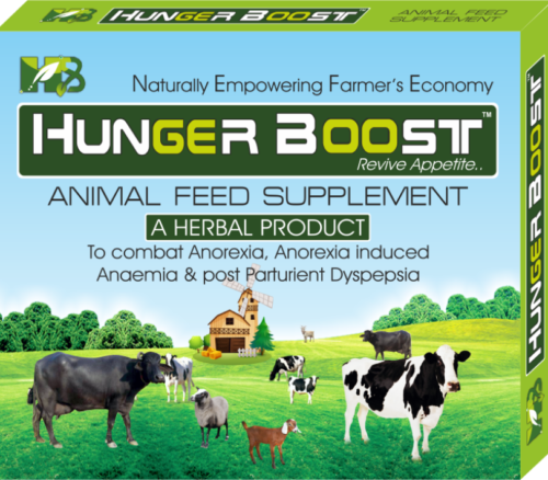 Hungerboost